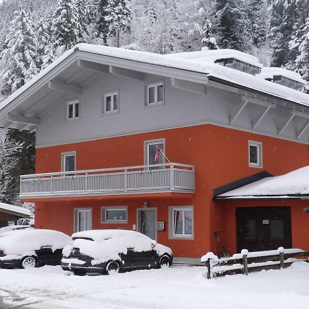 Alpen Appartements Viehhofen - Incl Sommercard Zell Am See Viehhofen Extérieur photo