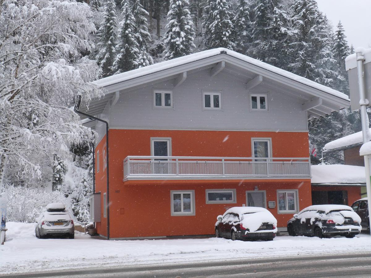Alpen Appartements Viehhofen - Incl Sommercard Zell Am See Viehhofen Extérieur photo