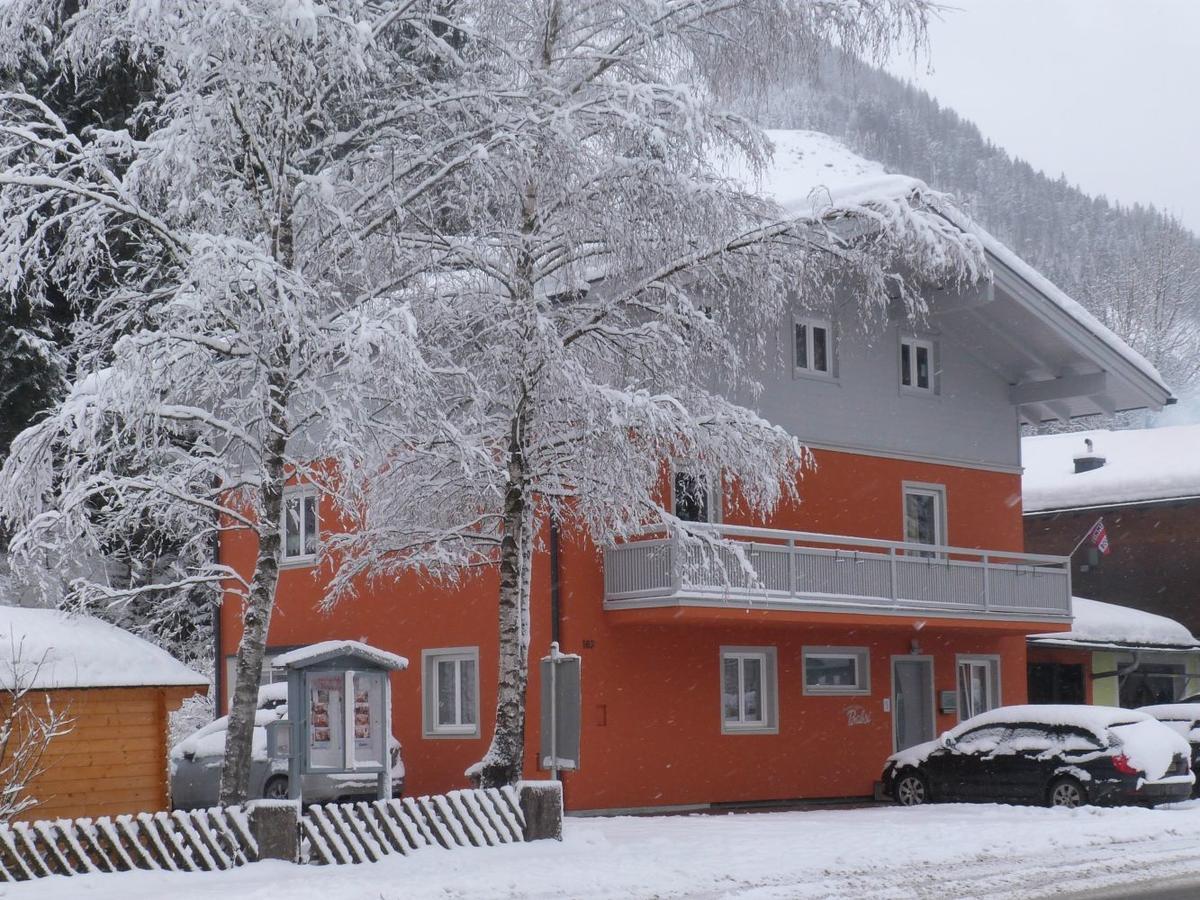 Alpen Appartements Viehhofen - Incl Sommercard Zell Am See Viehhofen Extérieur photo
