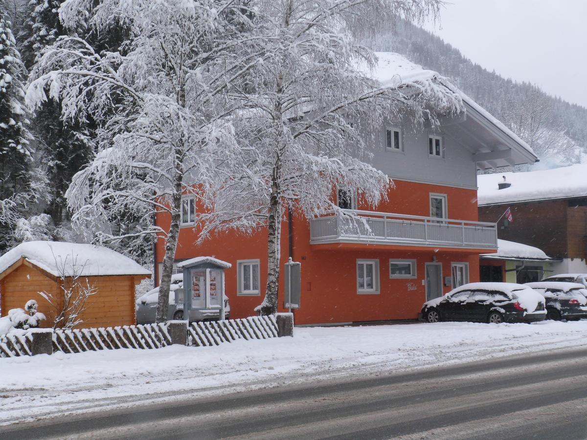 Alpen Appartements Viehhofen - Incl Sommercard Zell Am See Viehhofen Extérieur photo